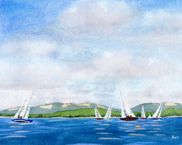 Regatta off Mount Desert Island #11