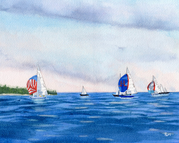 Regatta off Mount Desert Island #16