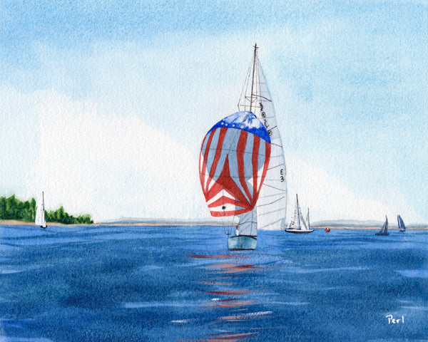 Regatta off Mount Desert Island #6