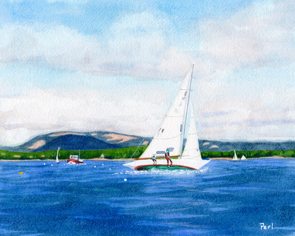 Regatta off Mount Desert Island #7