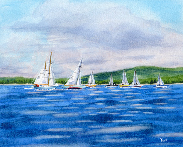 Regatta off Mount Desert Island #9